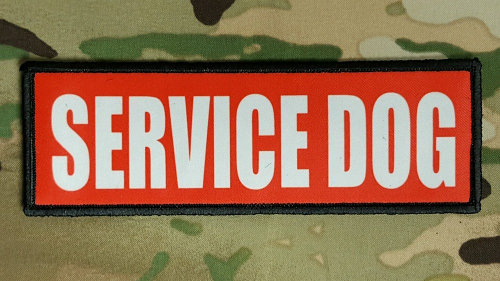 2 Pack Service Dog Patch 2x6 Red Hook Back K9 Therapy