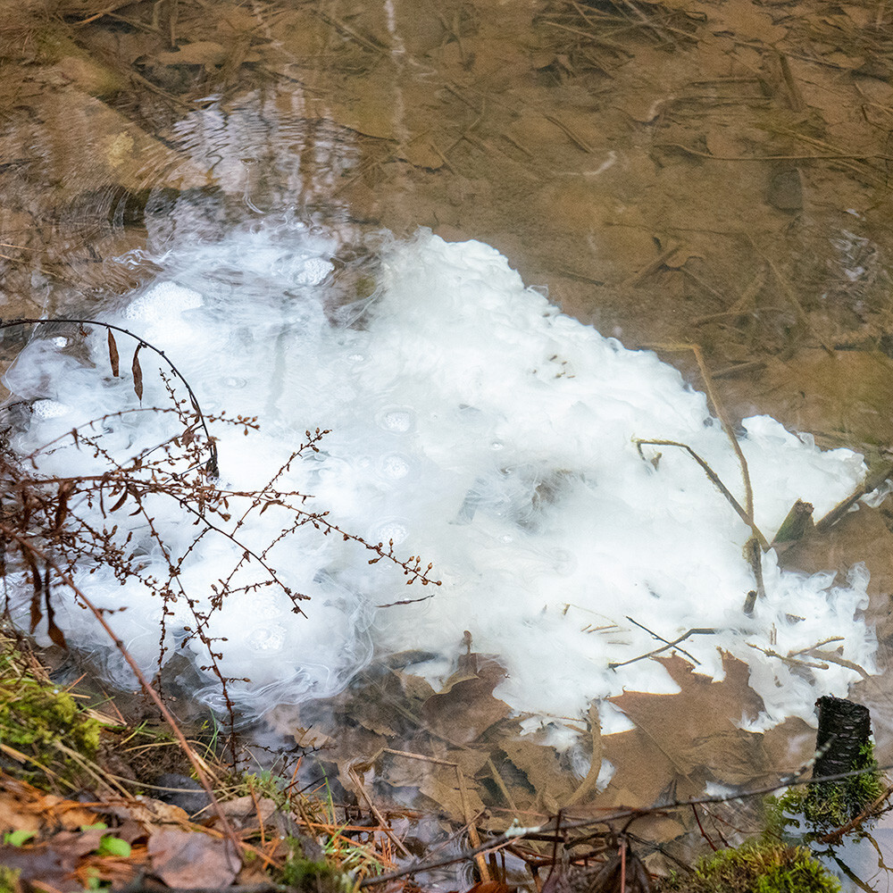 Calcis Pond Lime 2.5 gal