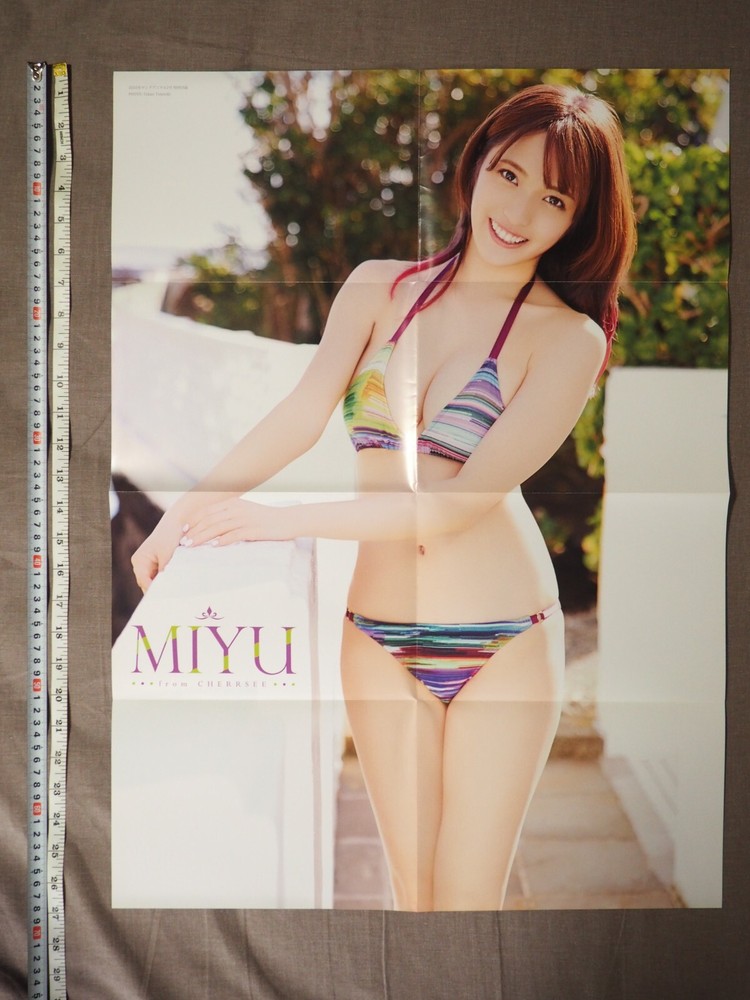 Pinup Poster, double sided - NIYU, Japanese - Ey2787