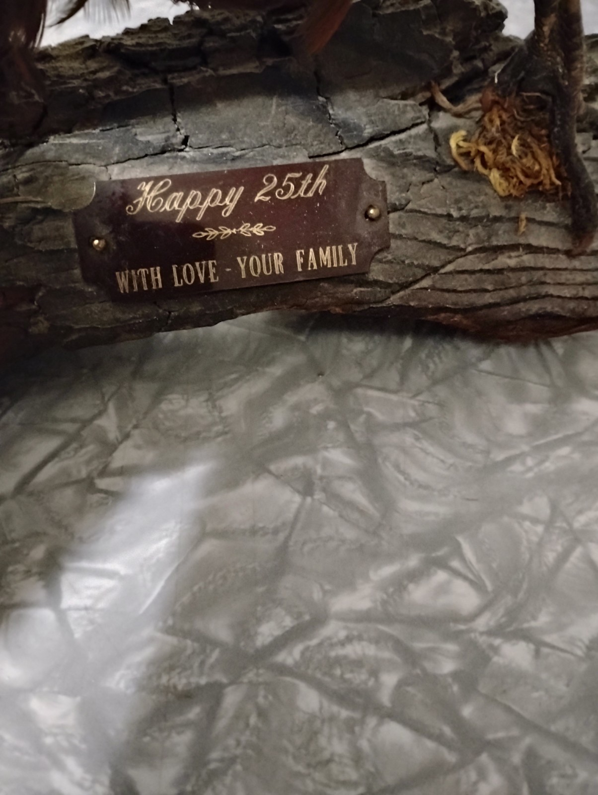 Vintage Pheasant Taxidermy - Table / Shelf Display Mount - Read Description