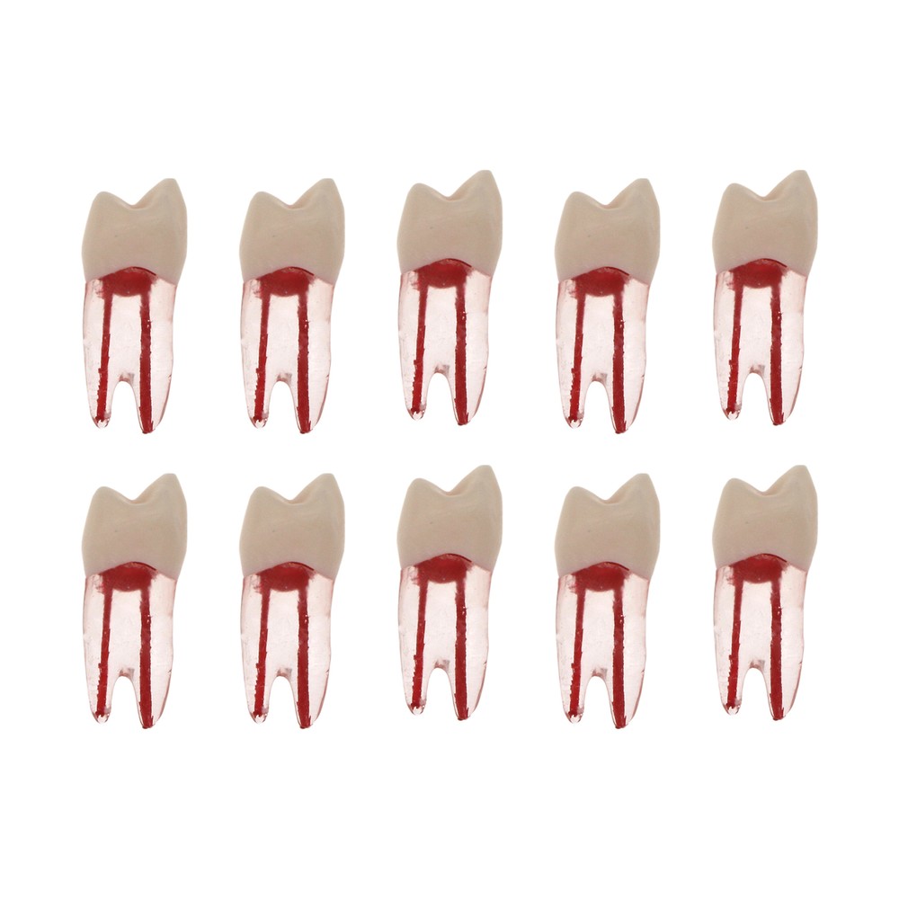 7 Sizes Dental Endodontic Root Canal RCT Practice Endo Teeth Model Pulp Study