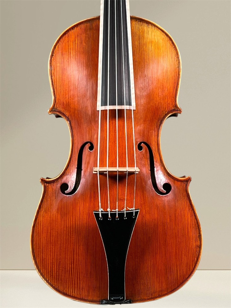Simon Joseph 5 string cello (cello) da Spalla, to hang