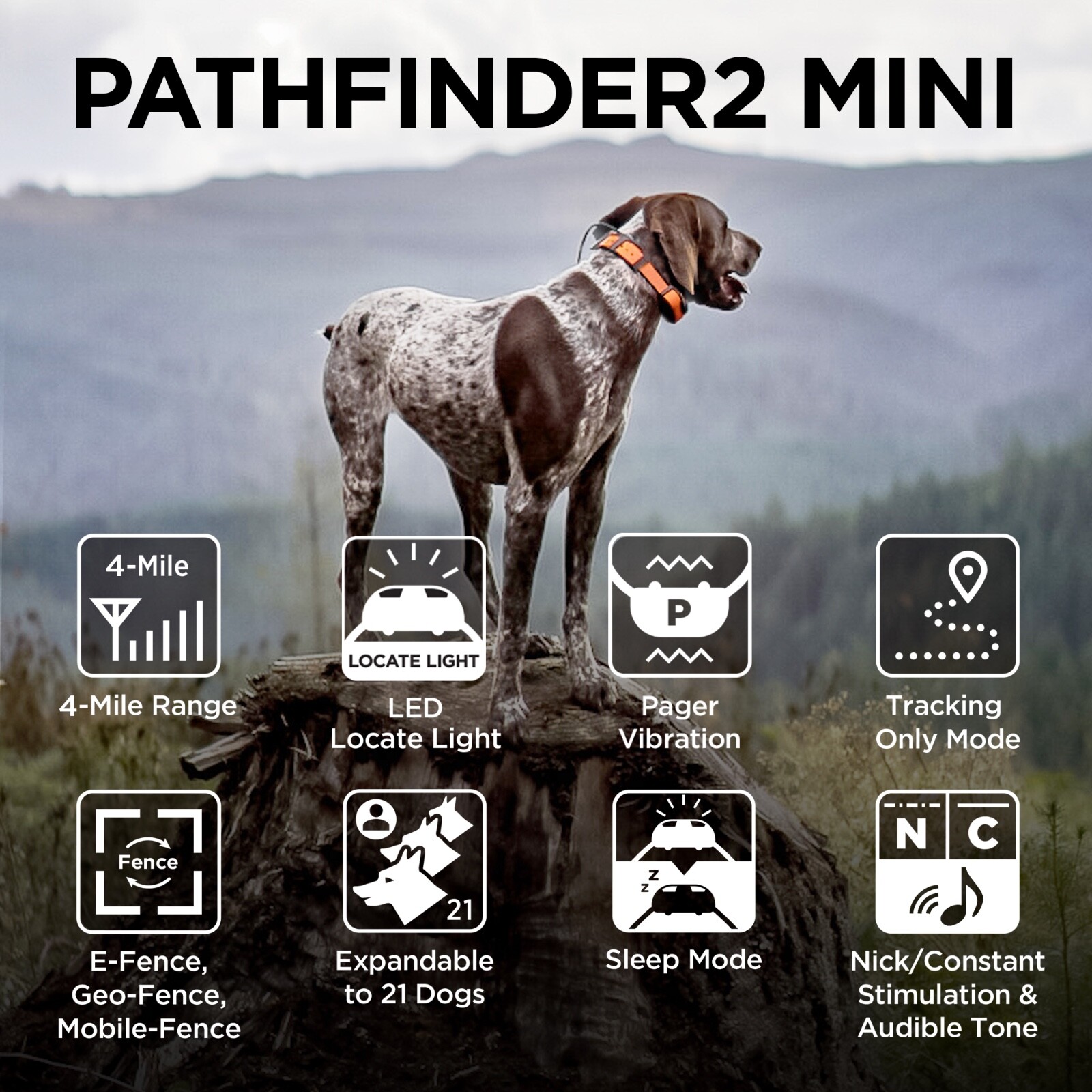 Dogtra PATHFINDER2 Mini Dog Collar Receiver Tracking and Training E-Fence GPS