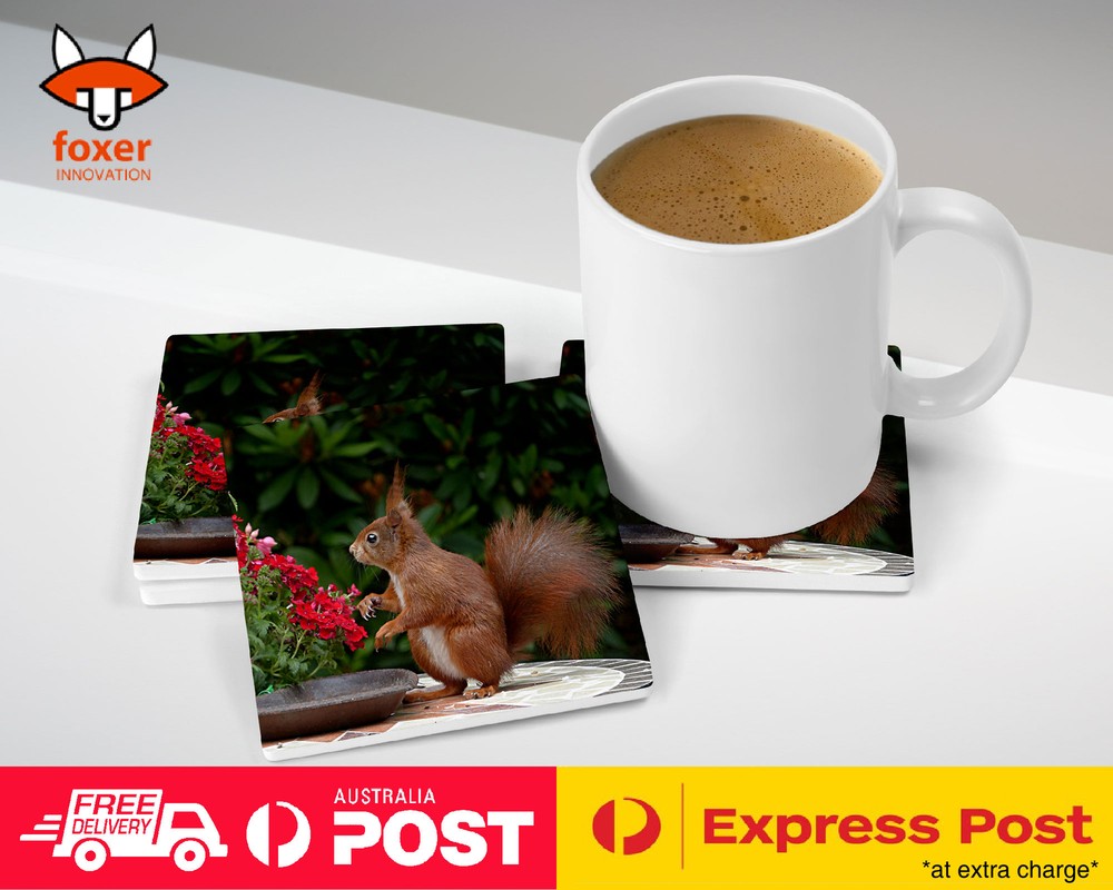 COASTER COFFEE DRINKING MAT|CUTE ADORABLE SQUIRREL RODENT