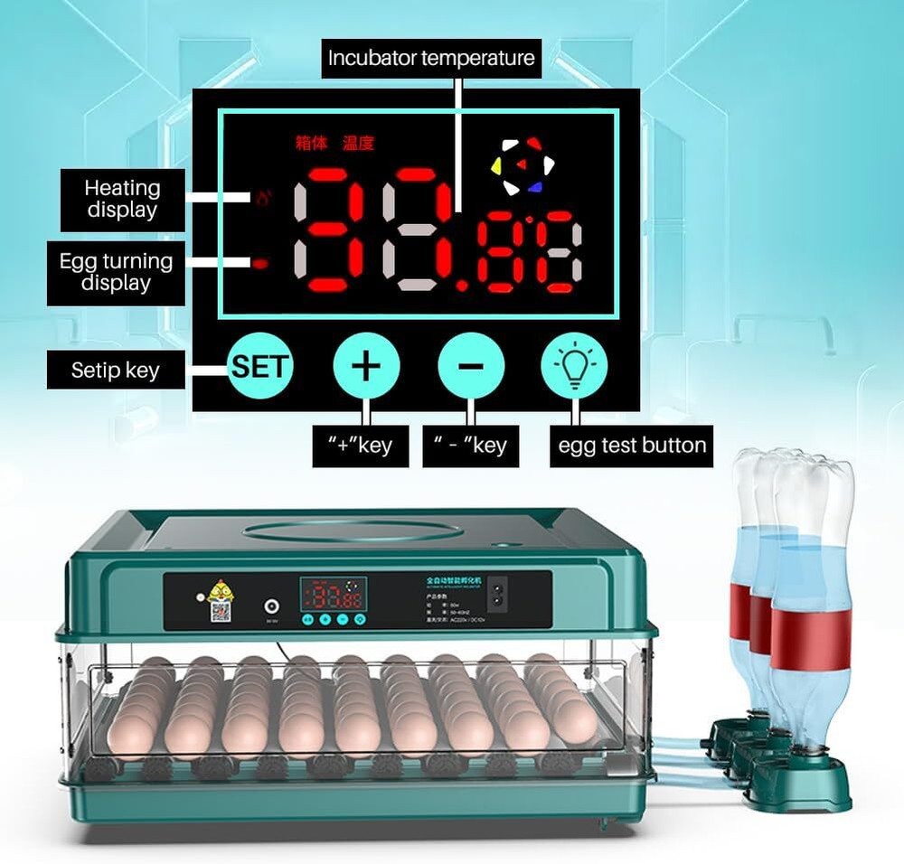 Egg Digital Poultry Hatcher Machine Automatic Egg Turning Temperature & Humidity