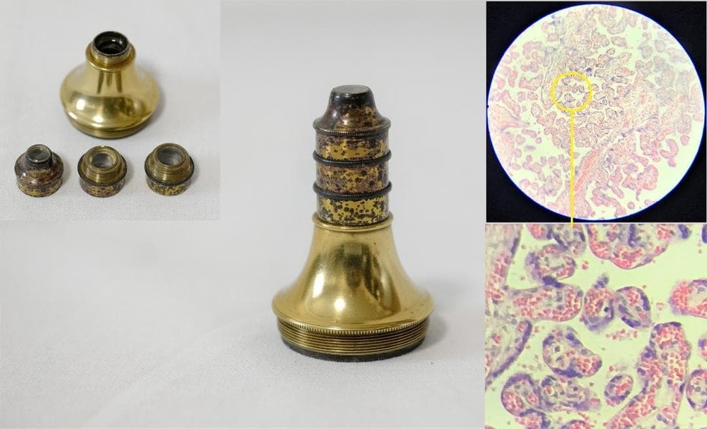 Antique Microscope No. 12: Simon Plössl's "Achromatic" Microscope Height 34 cm