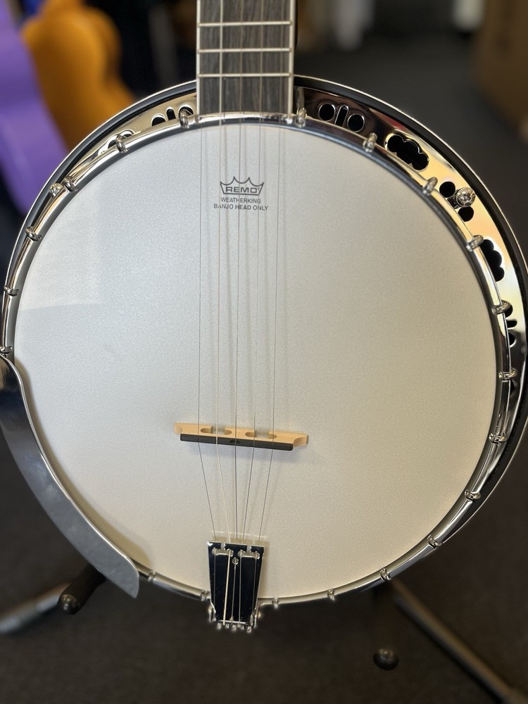 Washburn Banjo B11 with Case