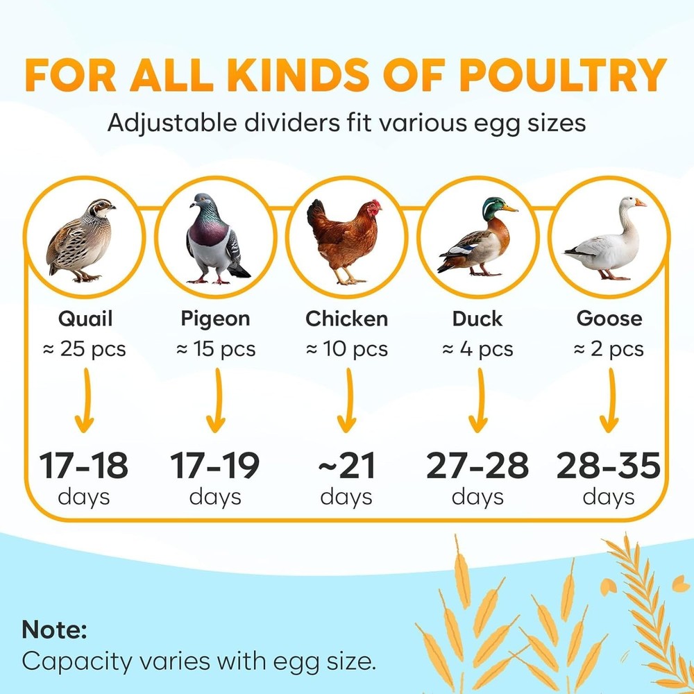 Okkobi M12 Automatic Egg Incubator - Precise Temp & Humidity Control, 12-24 Eggs
