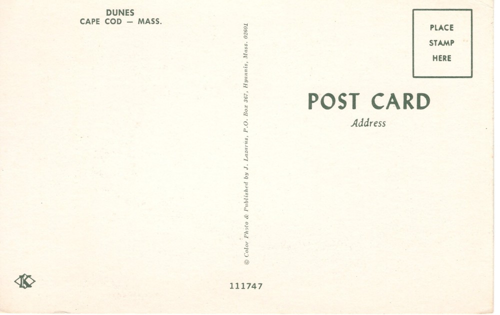 DUNES, CAPE COD, MA - PC5444