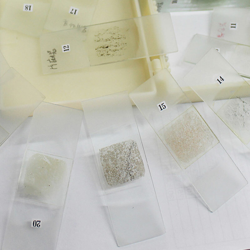 20pcs Geology Study Mineral Thin Section Prepared Microscope Rock Slides