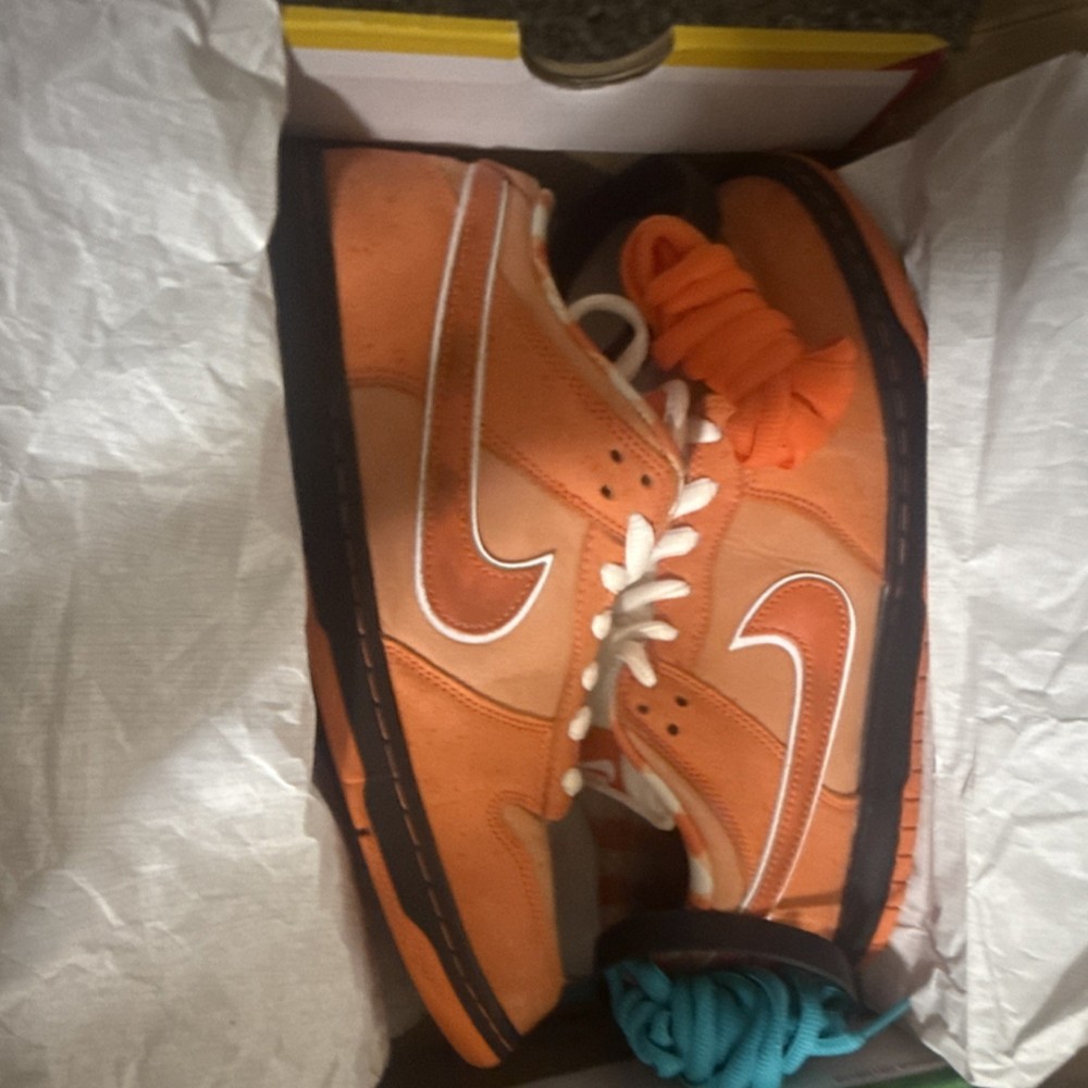 Nike SB Orange Lobsters