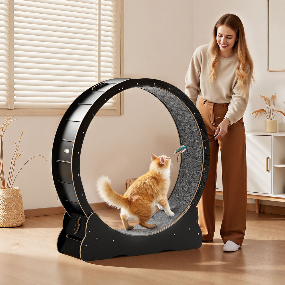 Cat Exercise Wheel, Black