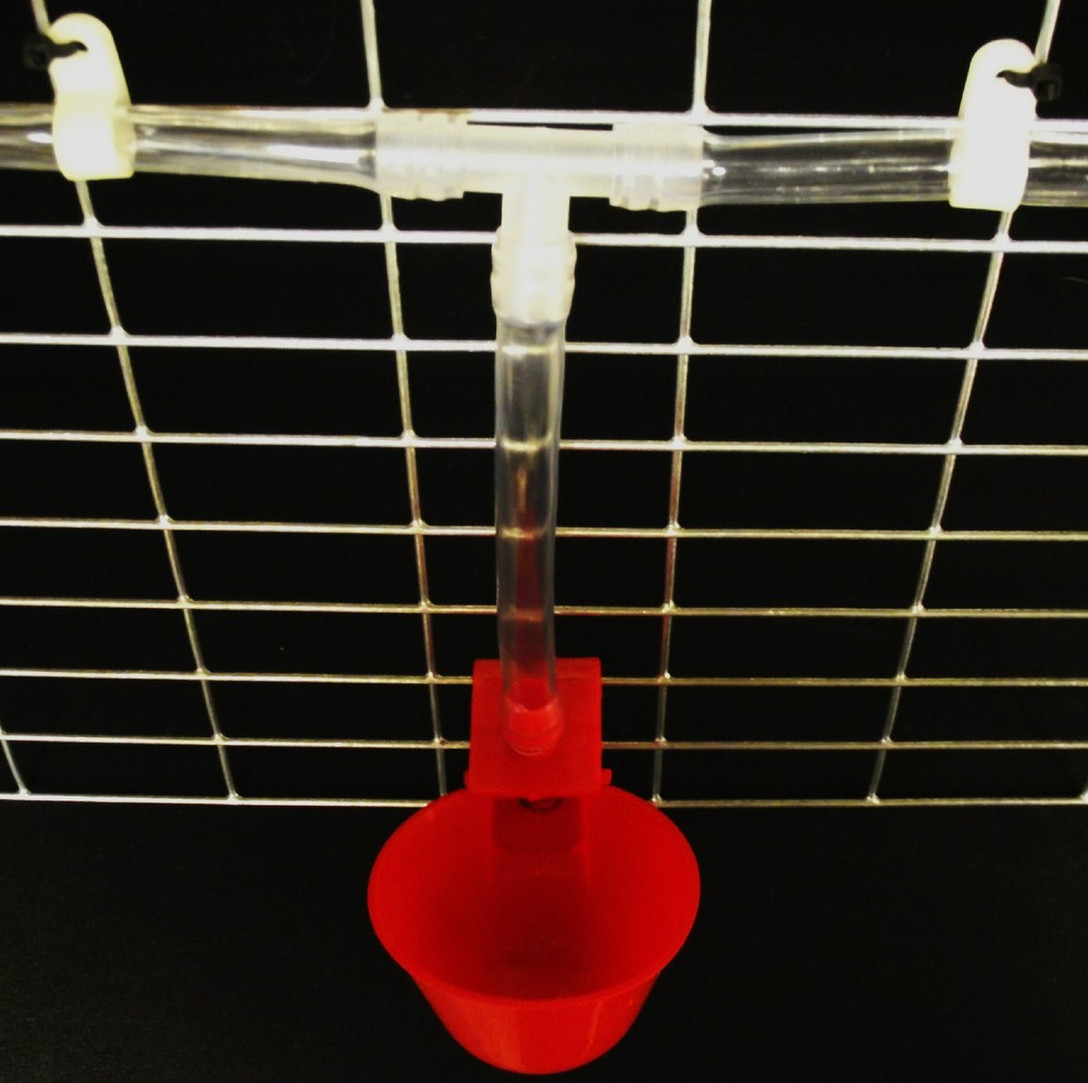 48 RITE FARM PRODUCTS AUTO WATERER DRINKER CUP & BARBED FITTING CHICKEN POULTRY