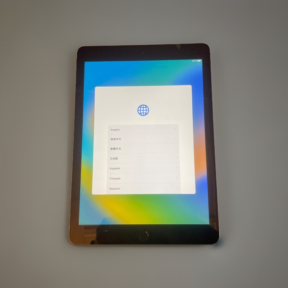 Apple - Certified Fully functional iPad (5th Generation) (2017) Wi-Fi -32GB Gray