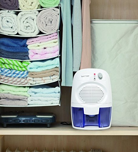 Ivation DehumMini Powerful Small-Size Thermo-Electric Dehumidifier