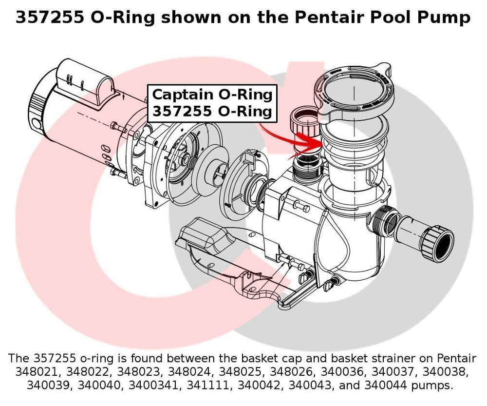 Captain O-Ring Pentek, Pentair 357255 Lid O-Ring Pool/Spa Pump (3 Pack)