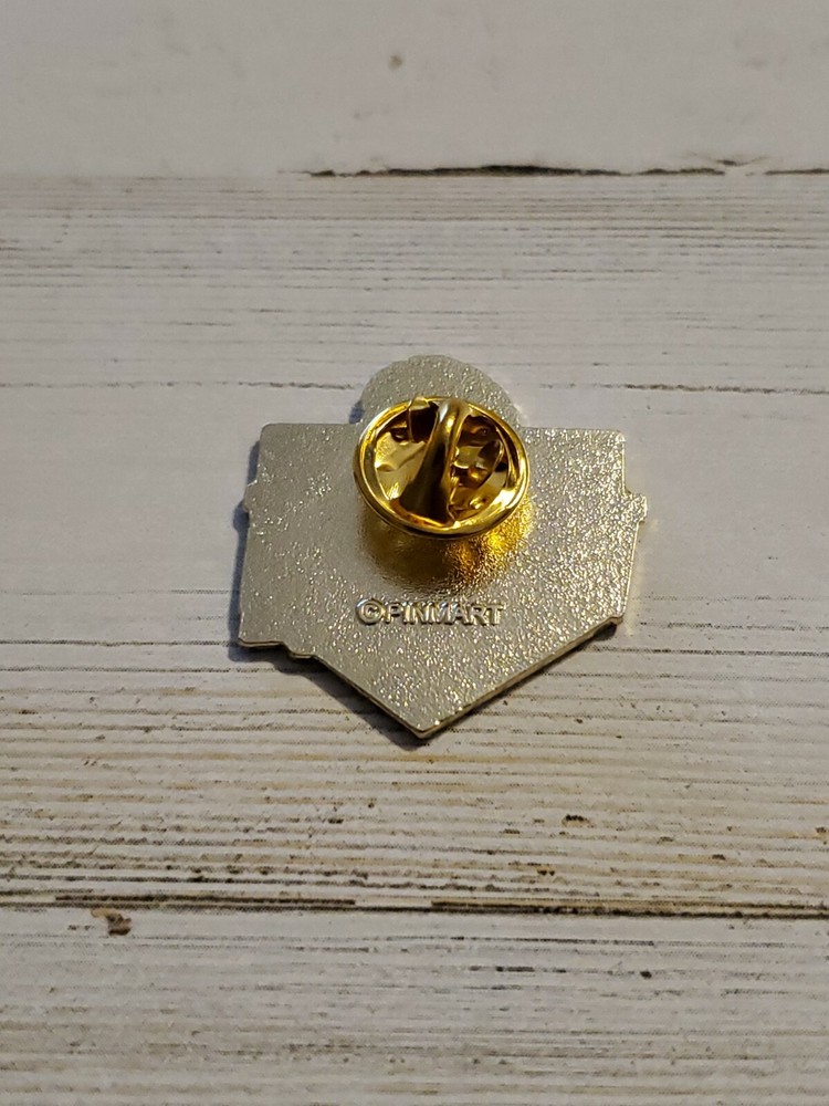 USA Veteran Eagle Flag Hat or Lapel Pin cd