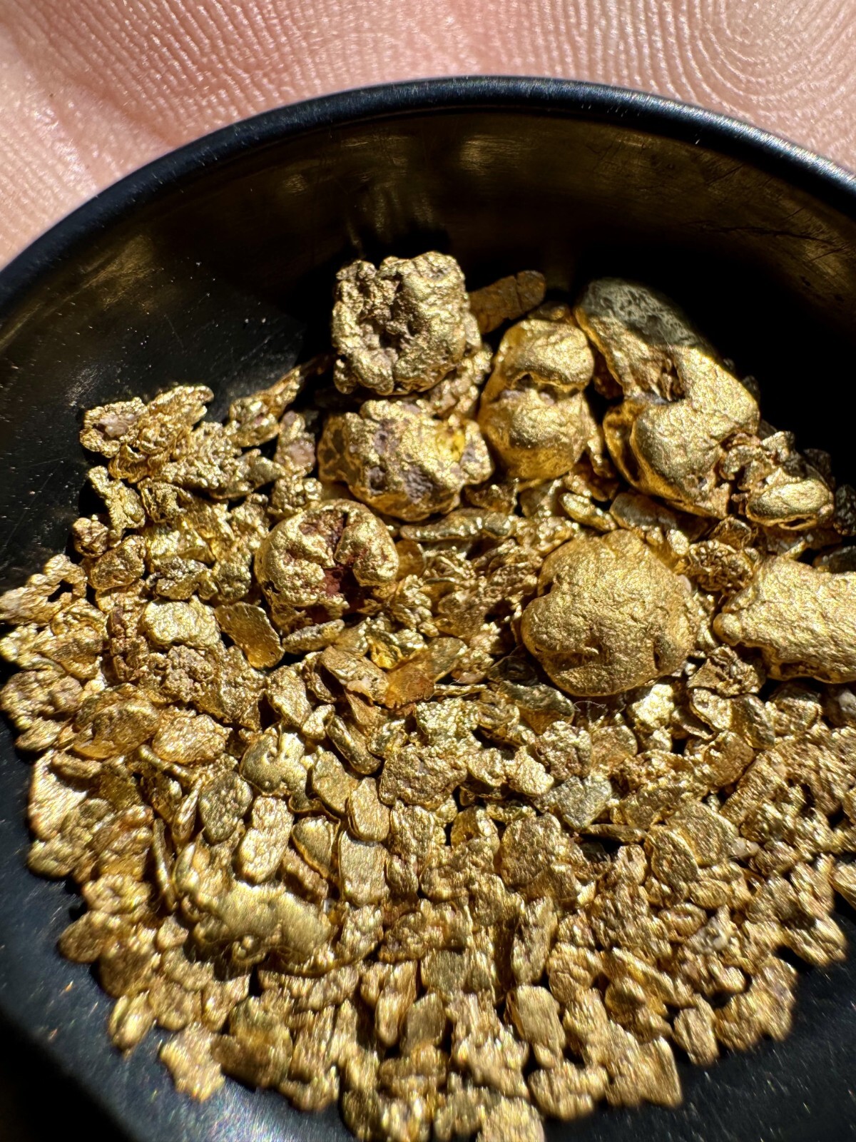 Presidential 10 Gram Gold Nugget Hunt Rich Unsearched Paydirt With Added Gold