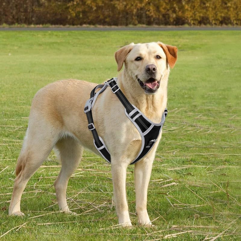 Adjustable Dog Harness - No Pull, Reflective, Soft Padded for Small, Medium, Lar