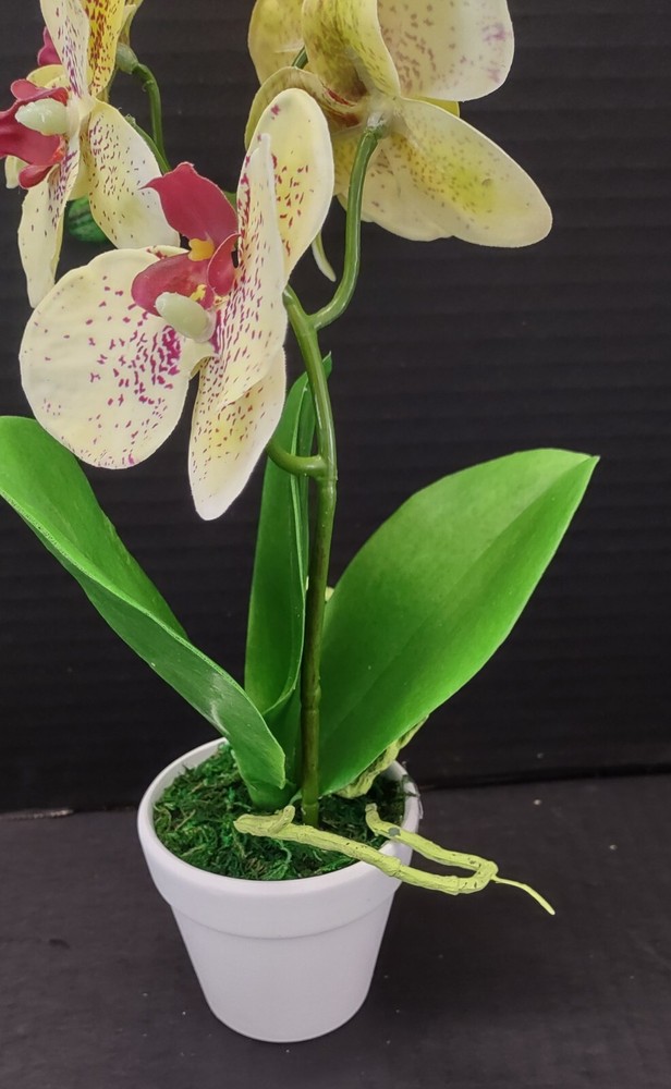 Artificial mini Phalaenopsis orchid