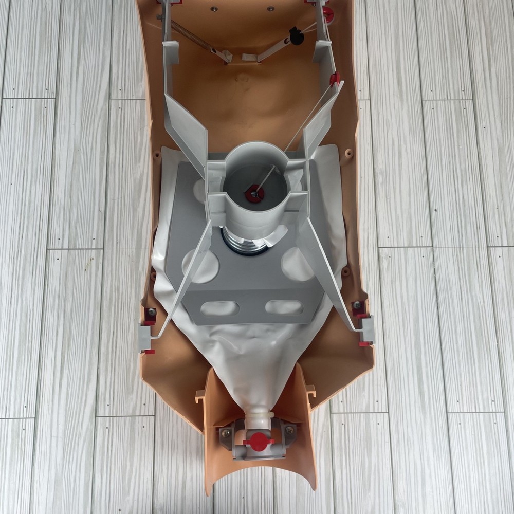 Ambu training CPR Multiman manikin With Hygienic System-TED