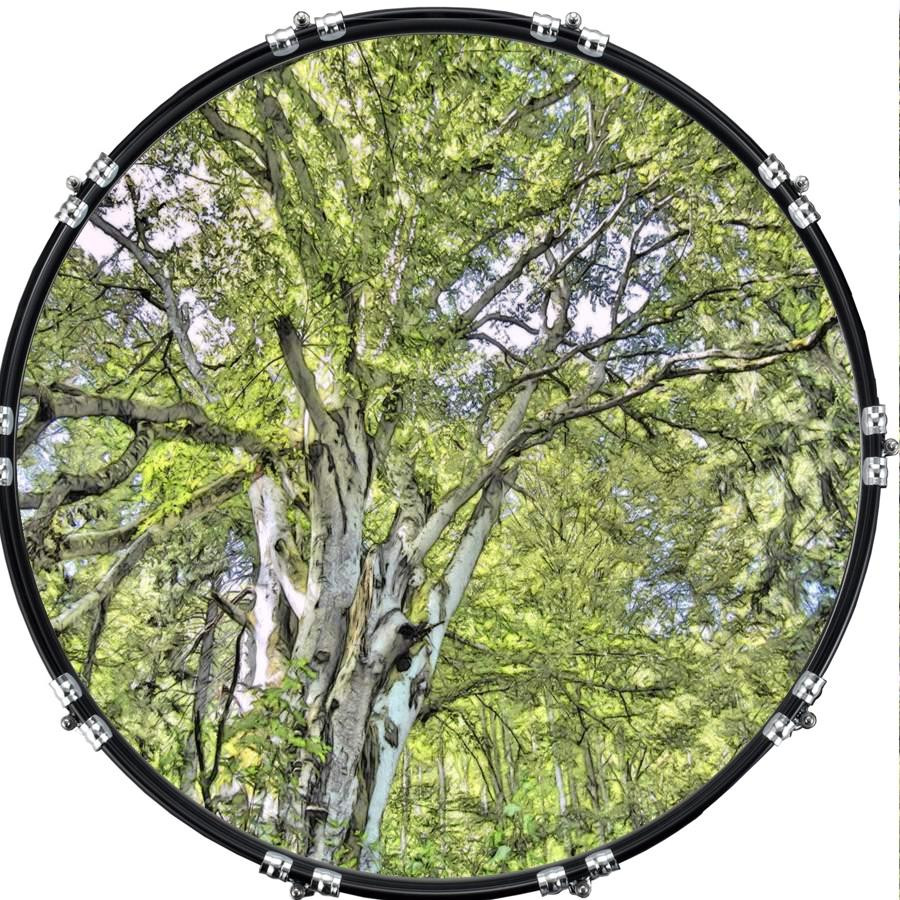 20" Custom Bass Kick Drum Front Head Graphic Graphical Tree 2