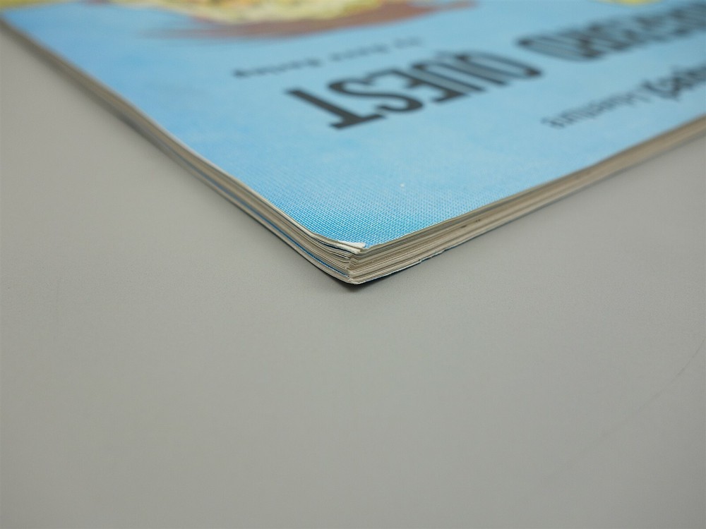 Dragonquest: Judge's Guild Module - Magebird Quest