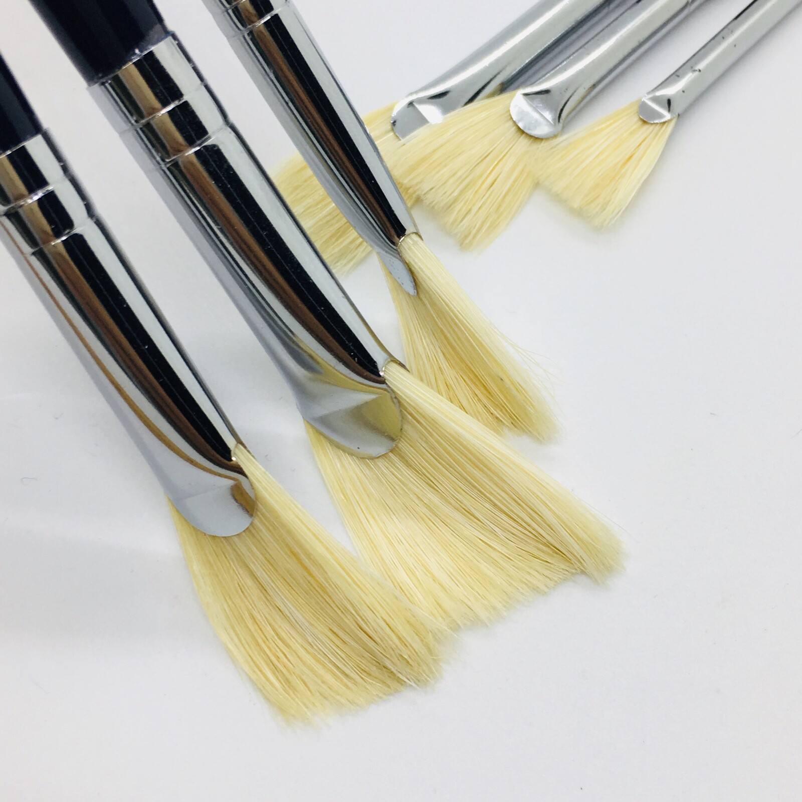 XDT#616-1 Fan Art Brush Set 6Pc #2#4#6#8#10#12 Hog Acrylic Oil Watercolor