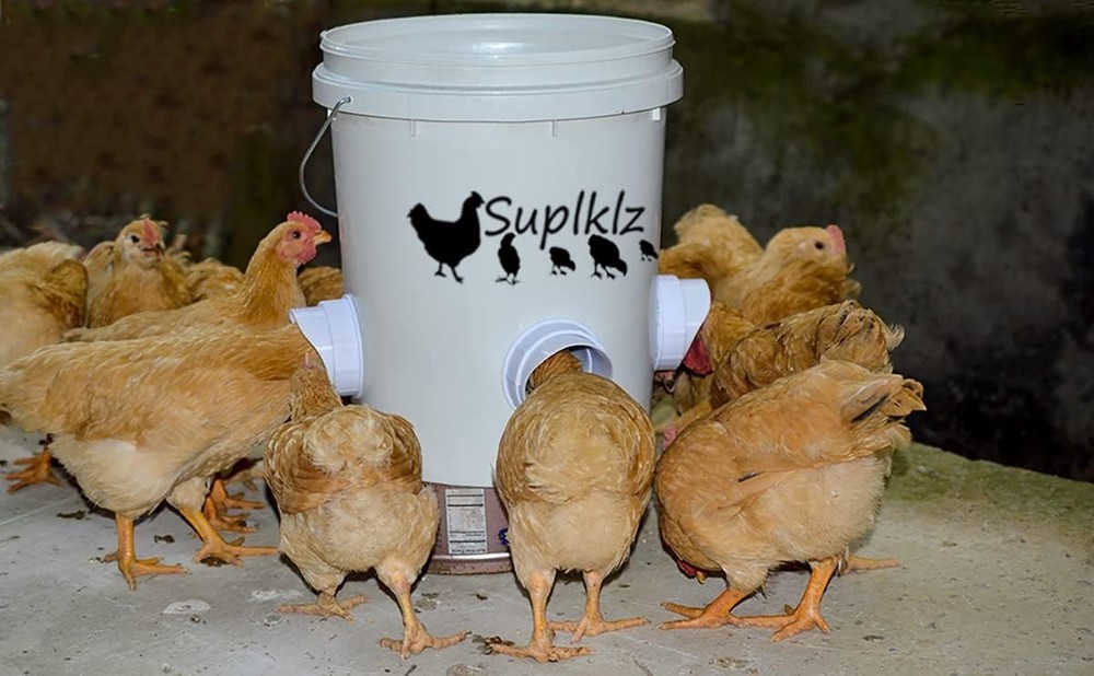 5-Gallon Gravity Feeder Kit for Chickens – Rainproof & Mess-Free Solution
