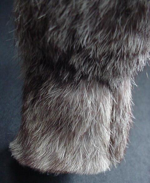 Rabbit Fur Cat Vintage