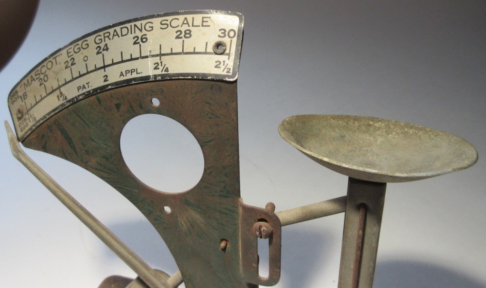 Vintage egg scale Mascot