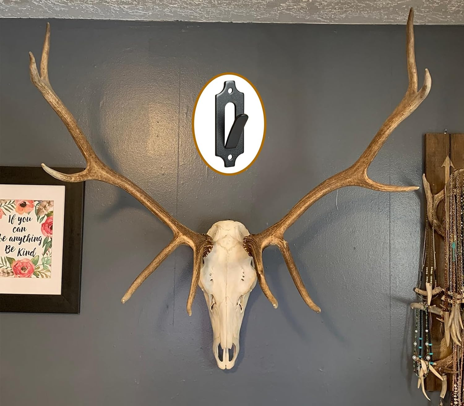 10 European Mount Skull Hanger Deer Skull Mount Euro Mount Skull Hanger Deer ..