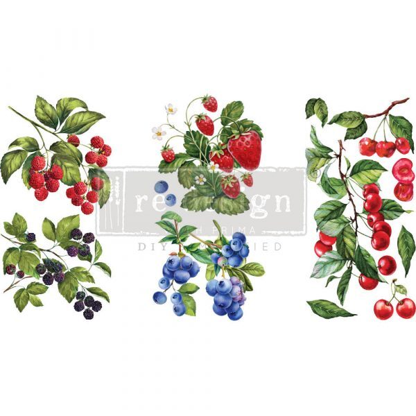 SMALL TRANSFERS – SWEET BERRIES