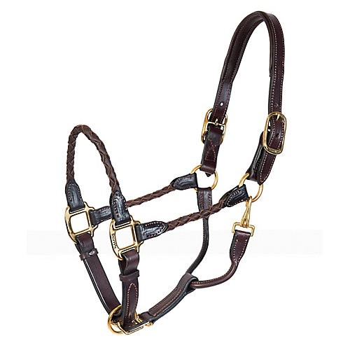 Perri's Perris Braided Leather Halter
