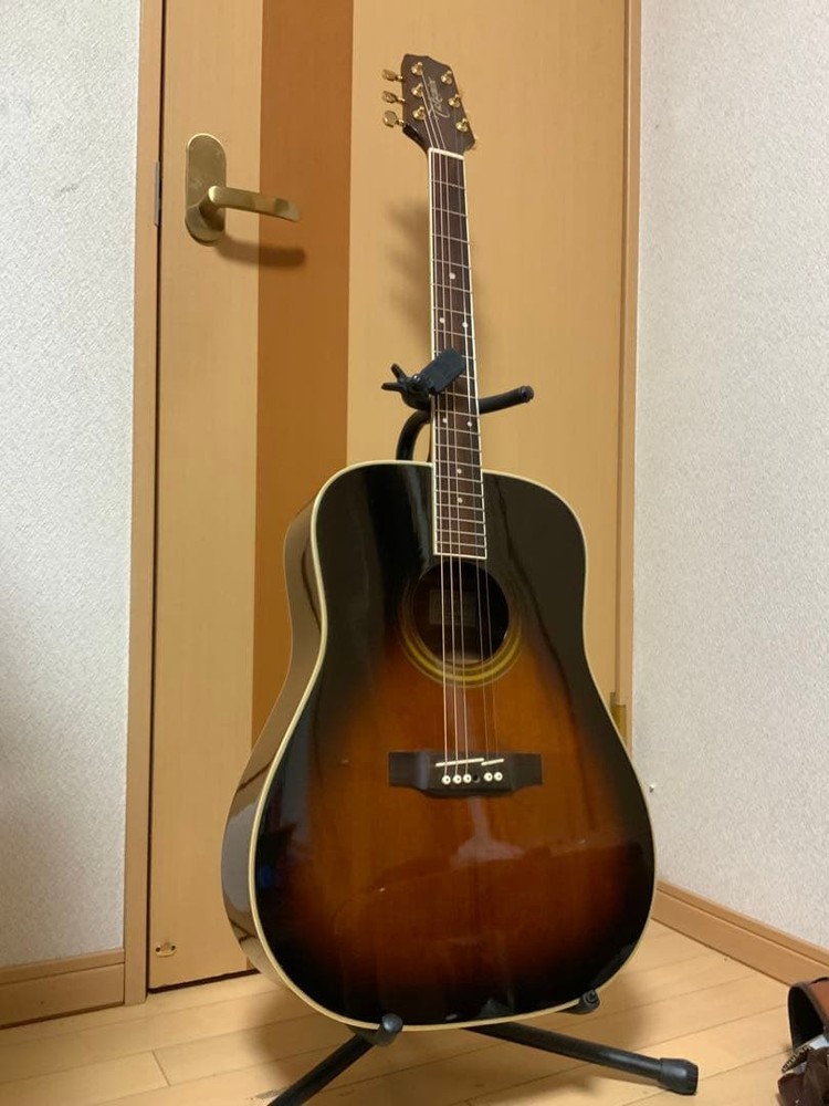 Takamine TS-600 Solid Top
