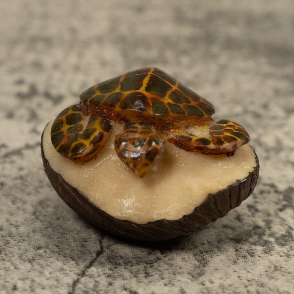 Sea Turtle Tagua Carving