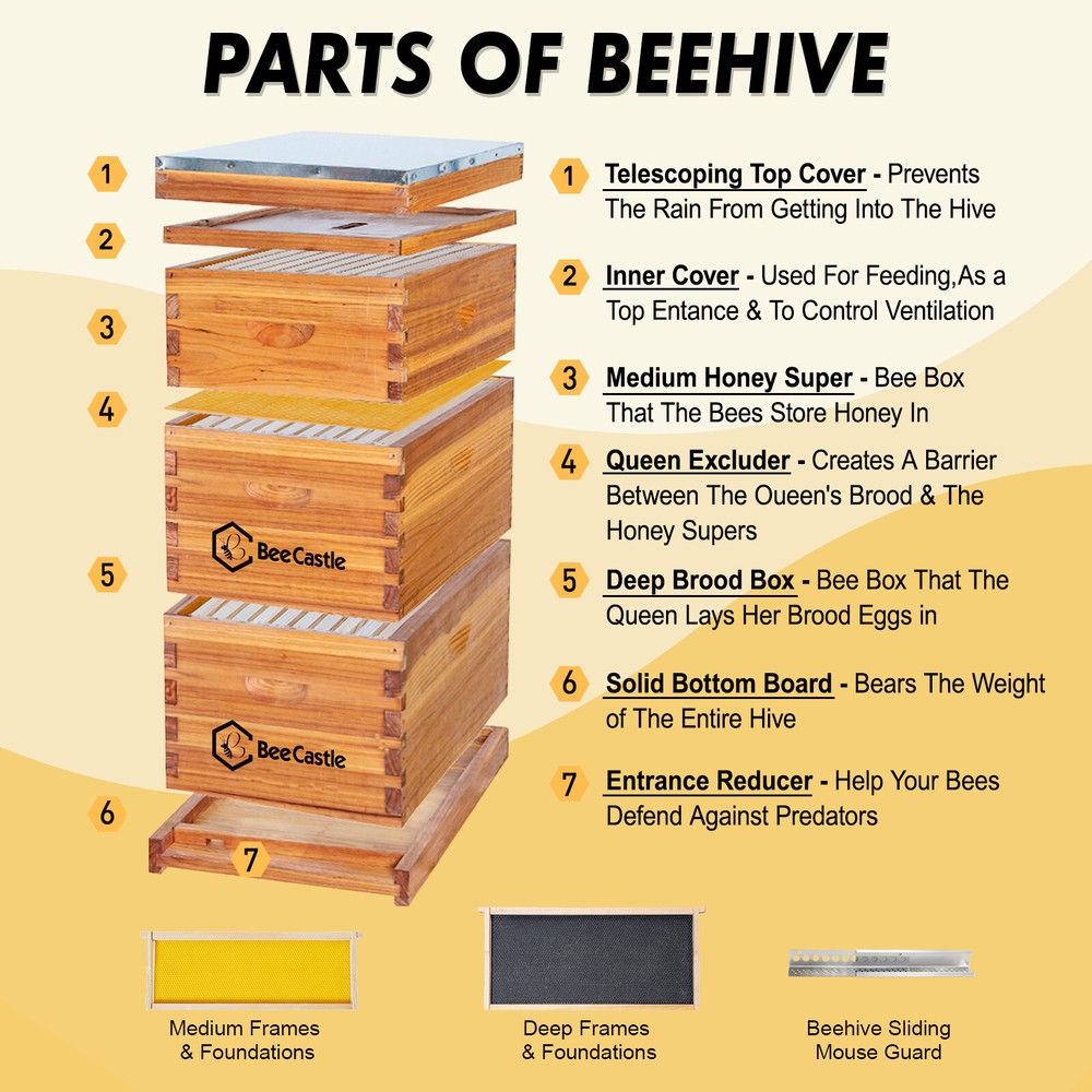 BeeCastle 10 Frame Beehive ( 2 Deep Brood Bee Boxes & 1 Medium Super Bee Box)