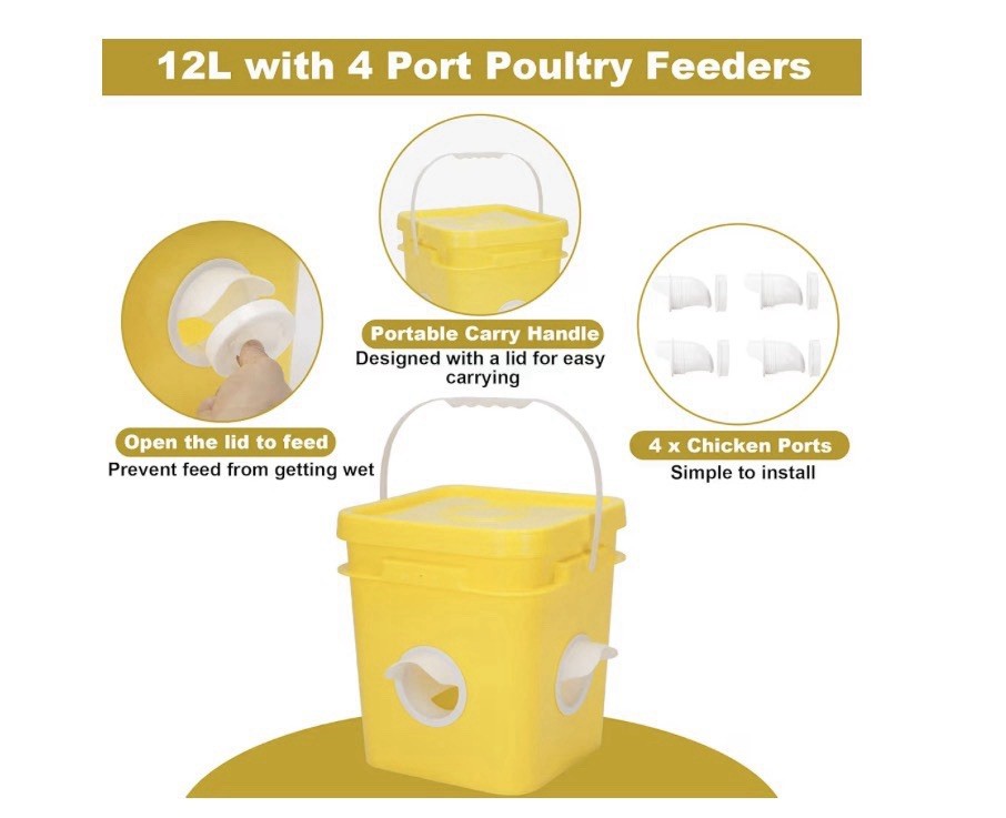 Automatic Chicken Coop Waterer And Feeder