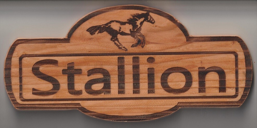 Horse Stall Personalized Name Plates Cedar Approx. 1/2 inch thick.