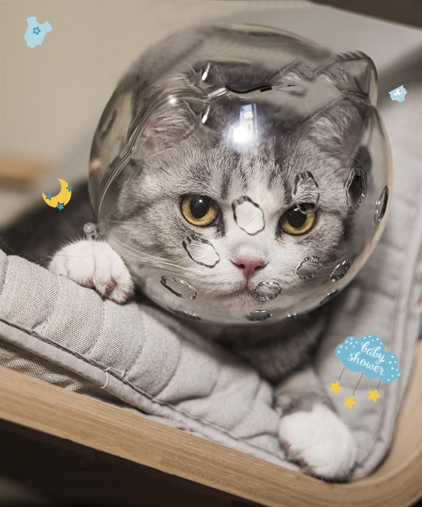 Astronaut Cat Muzzle Adjustable Helmet - Breathable Transparent Kitten Preven...