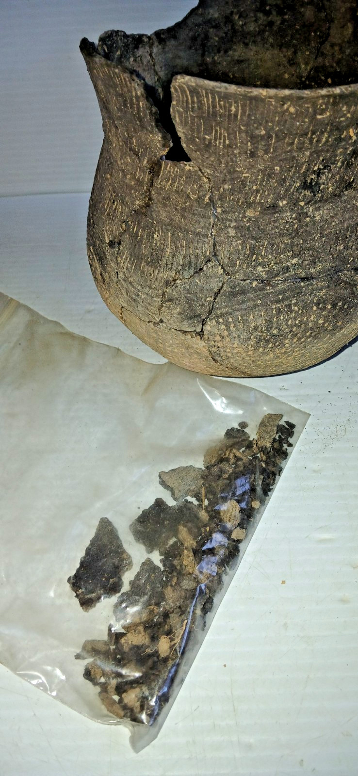 Pre-Columbian Native American Indian Mississippian Partial Pottery Jar Artifact