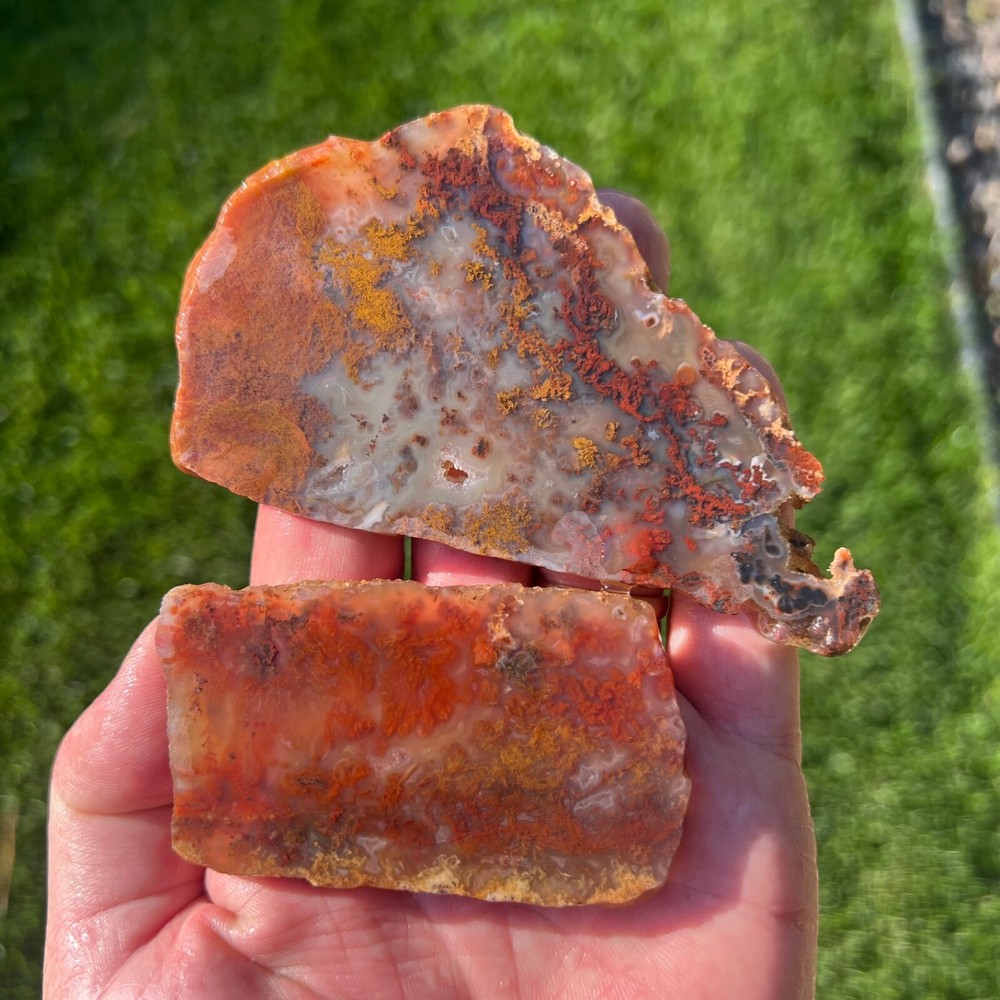 (X2) Rare Powell Butte Plume Agate Rough Slabs (C33)