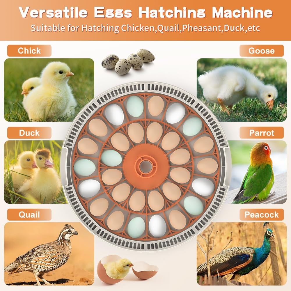 incubators for Hatching Eggs，30 Egg Incubator,Egg Incubator with Automatic Eg...