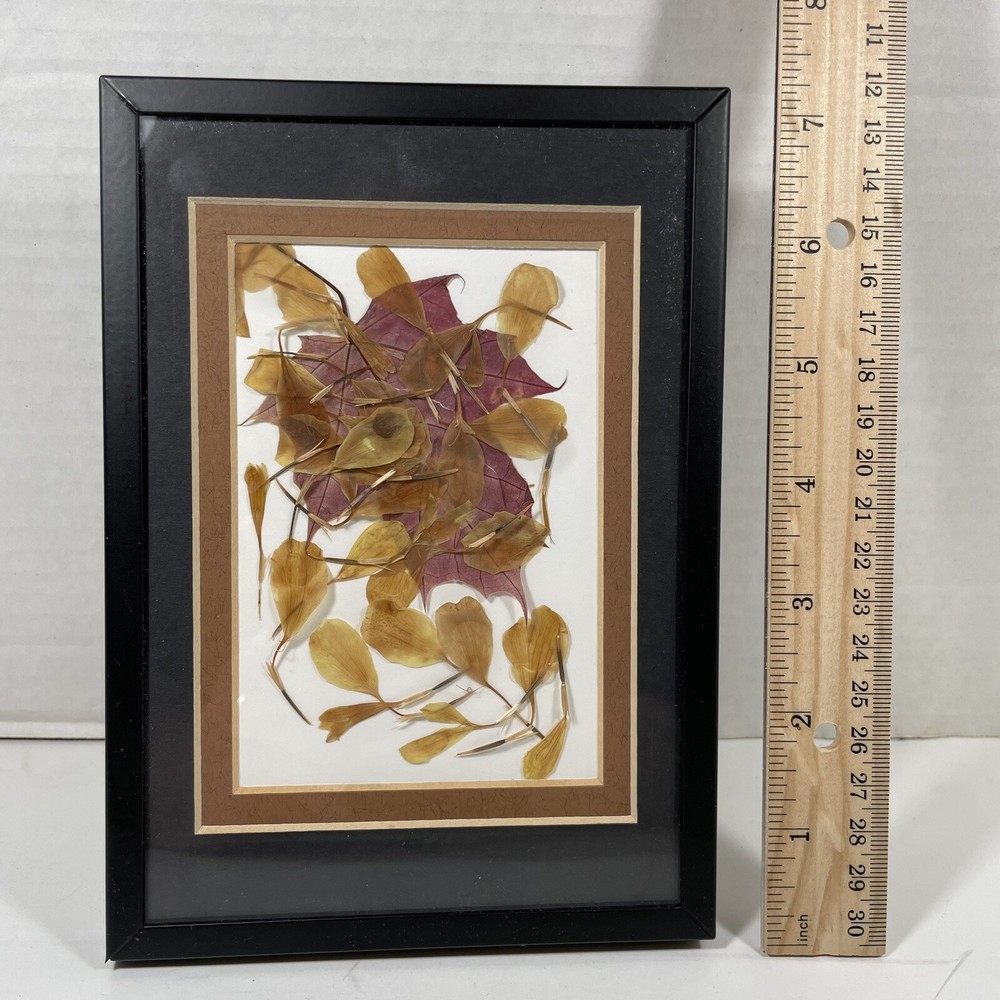 Framed Dried Leaf Collage Purple Yellow Brown Mat Black Frame 5 x 7 Assemblage
