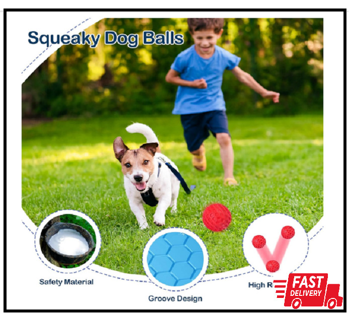 2 Pack Indestructible Squeaky Dog Balls for Aggressive Chewers, Interactive D...