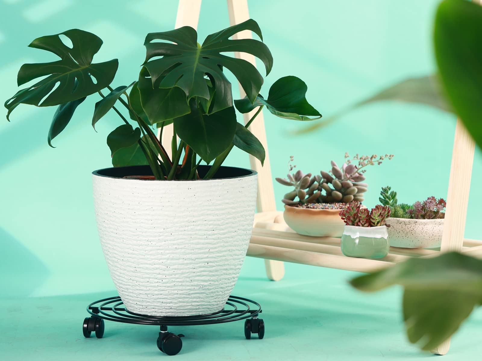 6 Packs 12 Inches Large Metal Plant Caddy with Wheels Rolling Plant Stands He...