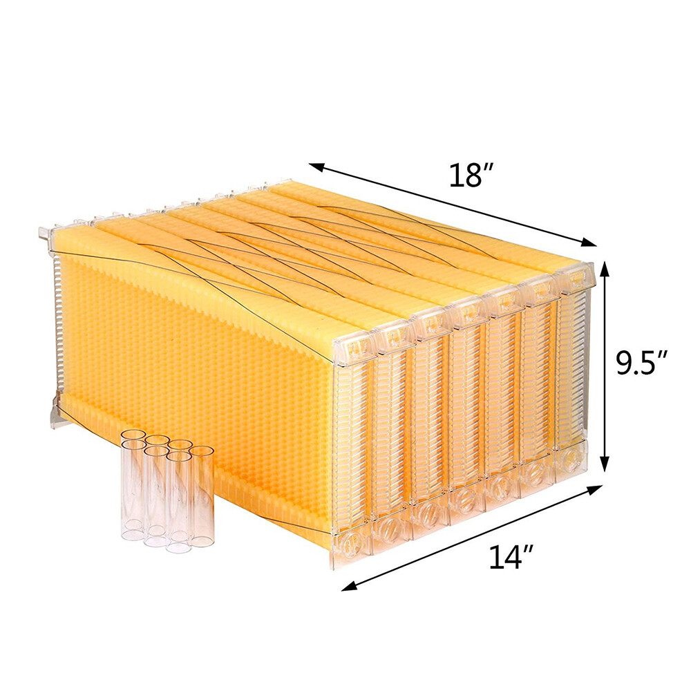 Wooden Beekeeping Beehive House Box + 7PCS Automatic Honey Bee Comb Hive Frame