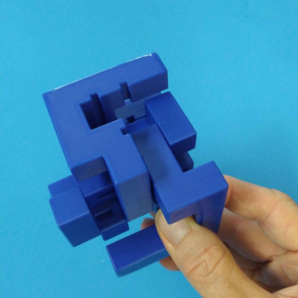 Proteus - Interlocking Assembly Maze Cube Puzzle