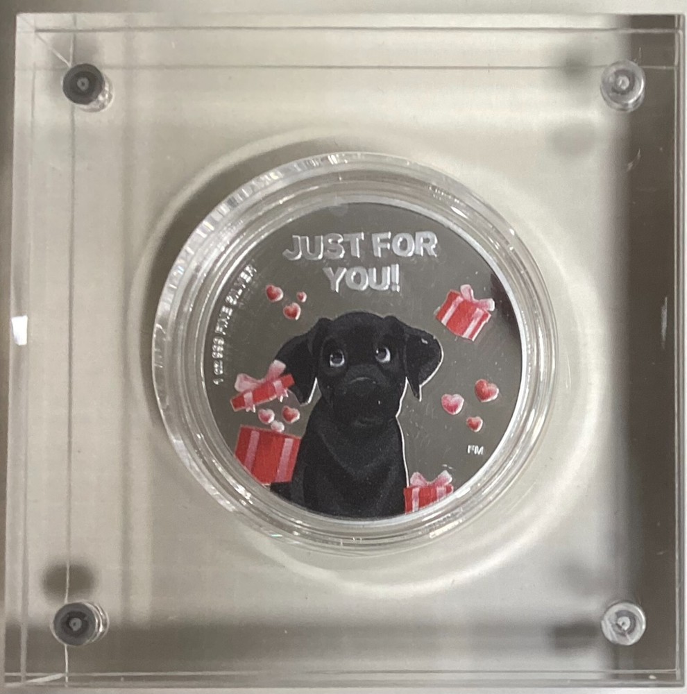 Coin Display elegant magnetic acrylic stand-REF24-1027
