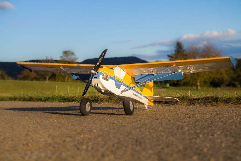 Sporty Remote Controlled Trainer with flaps